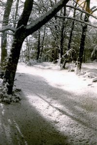 neige…